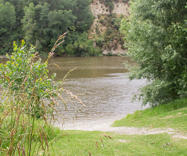 Mosquito point in Whanganui