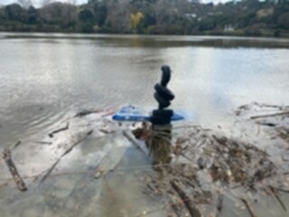 Featured image for Sunken Vessel off Bates Street